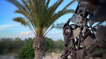 Terrein van de accommodatie