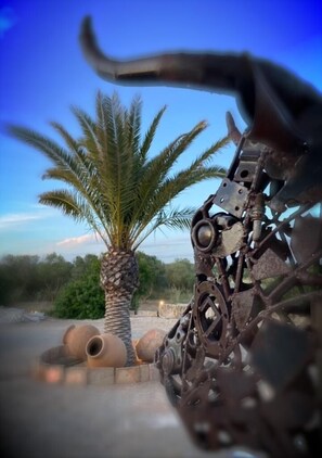 Terrein van de accommodatie