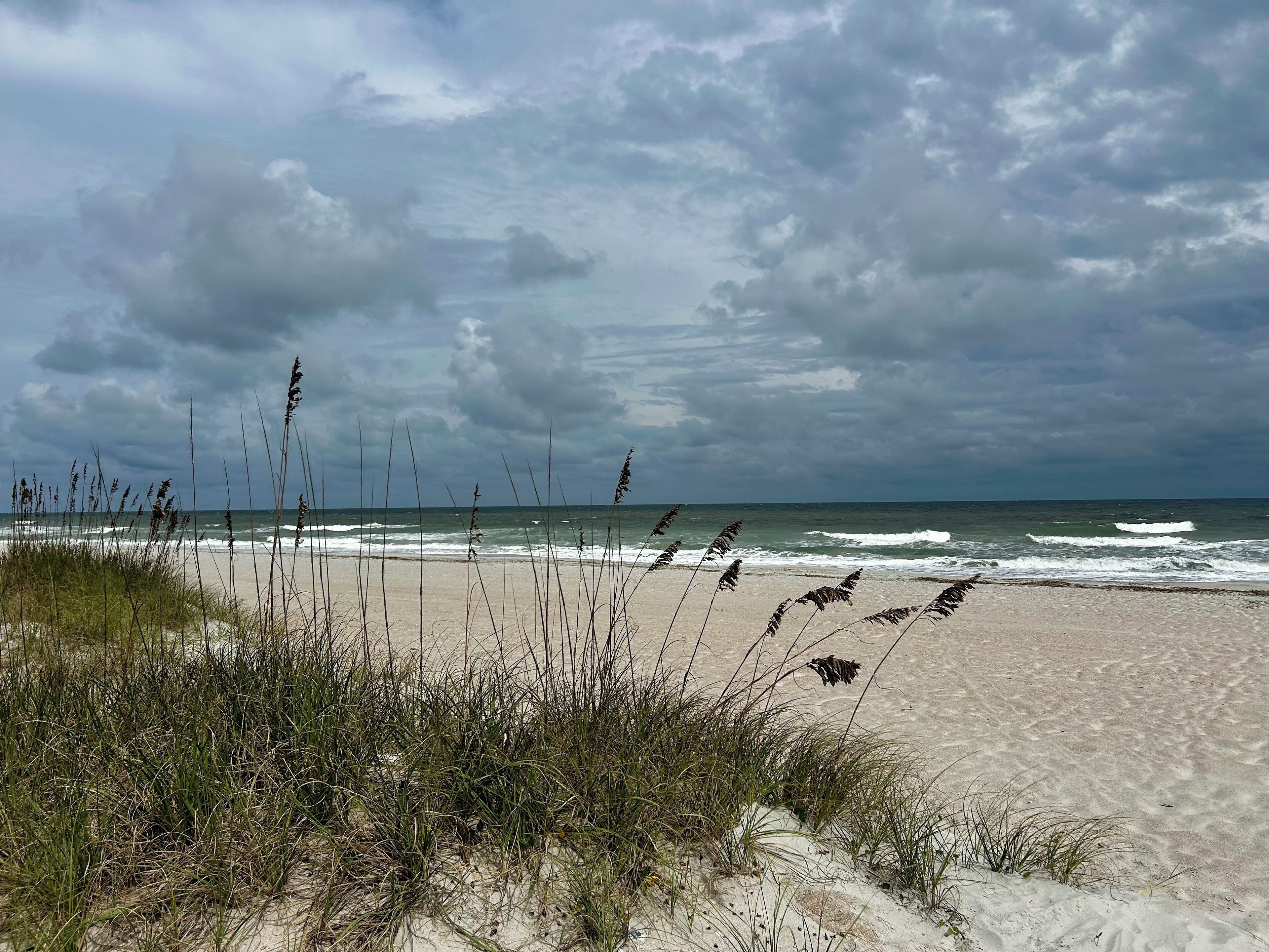 Plage, chaises longues, serviettes de plage