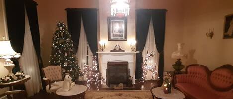 Smart TV, fireplace, books