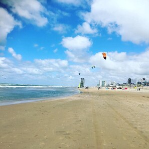 A beach with a clear sky, a sandy shore, and a few kites flying. - De Boulevard 2 D (Zandvoort)