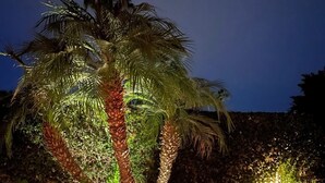 A fire pit surrounded by potted plants and palm trees, set against a night sky. - Endless views in Indian Wells!  Desert Horizons new and improved in 2024! (Indian Wells)