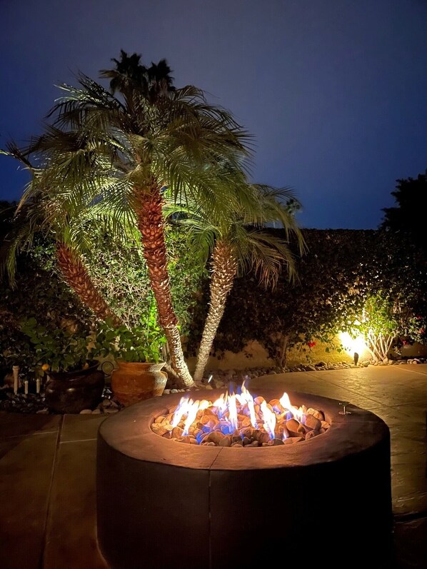 A fire pit surrounded by potted plants and palm trees, set against a night sky.