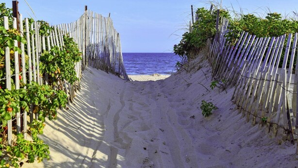 A sandy beach path leading to the ocean, flanked by wooden fences and greenery. - Charming Montauk Getaway centrally located  (Montauk)