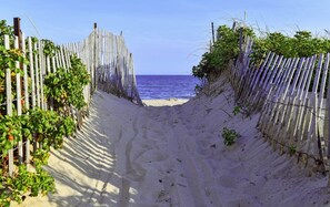 A sandy beach path leading to the ocean, flanked by wooden fences and greenery.