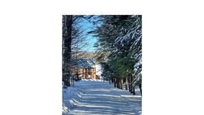 En snötäckt stig, omgiven av träd, leder fram till en byggnad med ett sluttande tak.