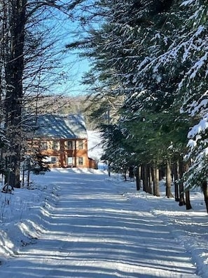 Un sendero cubierto de nieve flanqueado por árboles que conduce a un edificio con techo inclinado.