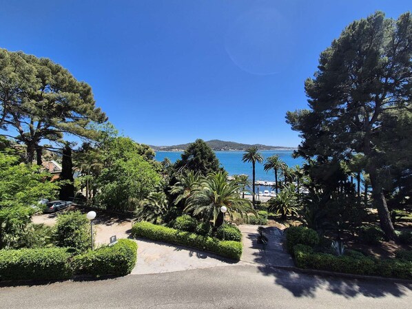 A coastal view with a paved pathway, trees, and a clear blue sky.