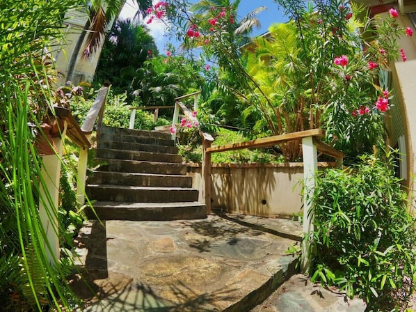 Property grounds - 2 Bdrm w/ Car, Pool, & AC in Cruz Bay, STJ (Cruz Bay)