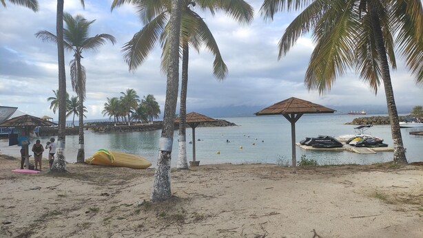 Ein Strand mit Palmen, einem sandigen Ufer und ruhiger See. Sonnenschirme und ein Boot liegen in der Nähe des Wassers.