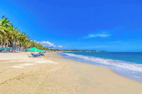 A beach with clear blue skies, palm trees, and a sandy shore.