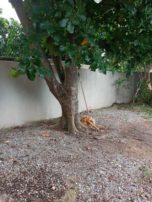 المنطقة المحيطة بالمنشأة