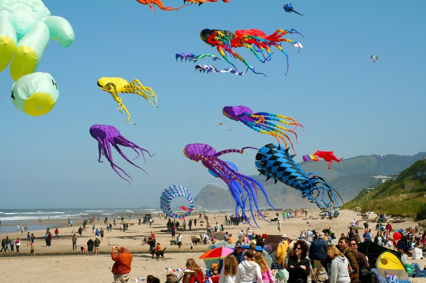 A beach with numerous colorful kites in the sky and people on the sand.