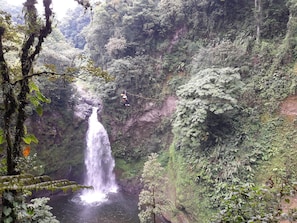 Une personne pratiquant le saut à l’élastique depuis une falaise surplombant une cascade, au cœur d’une forêt luxuriante.
