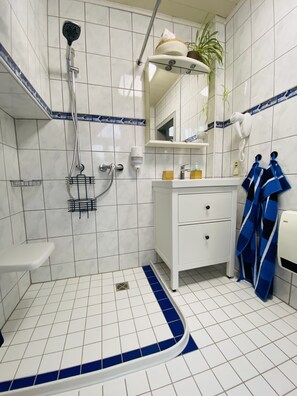 Dusche, Haartrockner, Handtücher, Seife