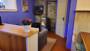 Een gezellige woonkamer met een open haard, een televisie en een plant in pot.
