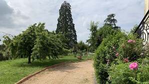 Un sendero de grava en un jardín con un árbol alto, una valla y plantas con flores.