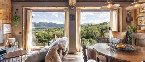 Smart TV, fireplace, DVD player, books