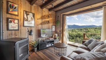 Een smart-tv, een open haard, een dvd-speler en boeken