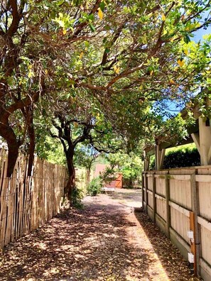 Un camino bordeado por árboles y una valla de madera.