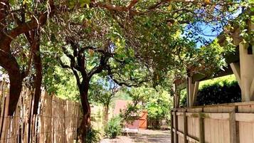Un chemin bordé d’arbres et délimité par une clôture en bois, qui mène à un bâtiment doté d’un toit rouge.