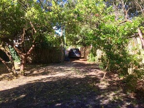 A narrow pathway leading to a parked car, surrounded by trees and a wooden fence.