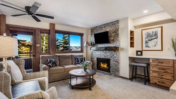 智能电视、壁炉、DVD 播放器