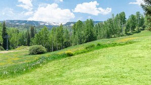 Un paisaje verde exuberante con cielo despejado, varios árboles y una cadena montañosa distante.