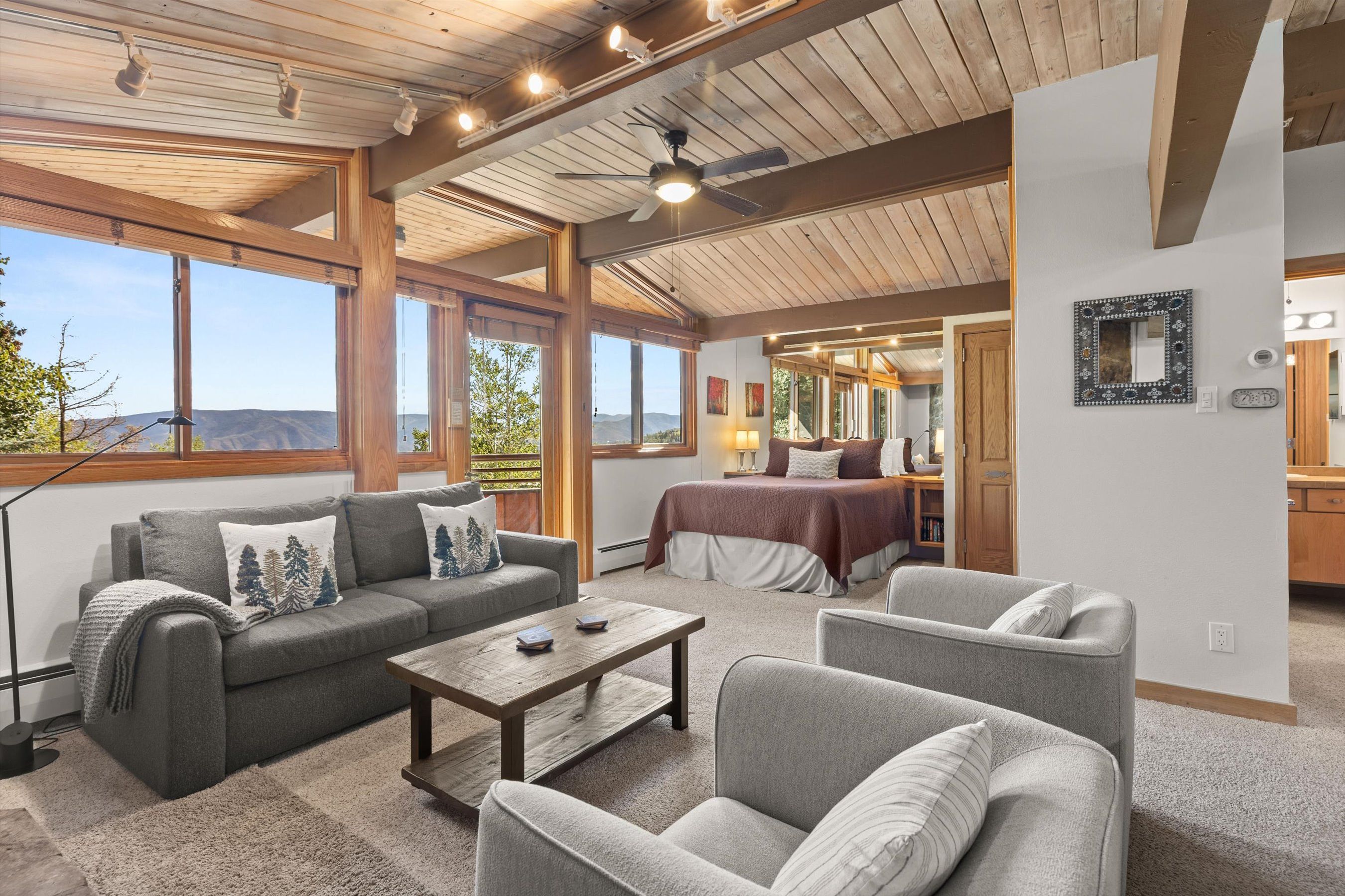 Living area with sleeper sofa