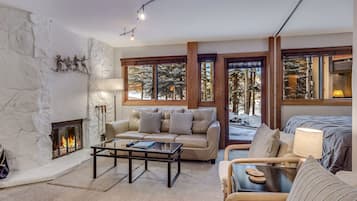 Smart TV, fireplace, DVD player