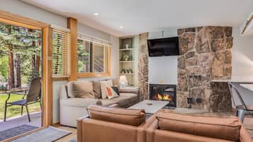 Smart TV, chimenea, reproductor de DVD