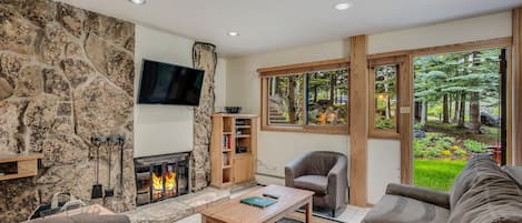 Smart TV, chimenea y reproductor de DVD