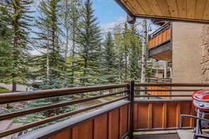 Property grounds - 🏔️Ski Access~Hot Tub~Studio Premier 207🏔️ (Snowmass Village)