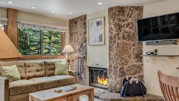 Smart TV, chimenea, reproductor de DVD