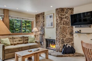 Smart TV, fireplace, DVD player