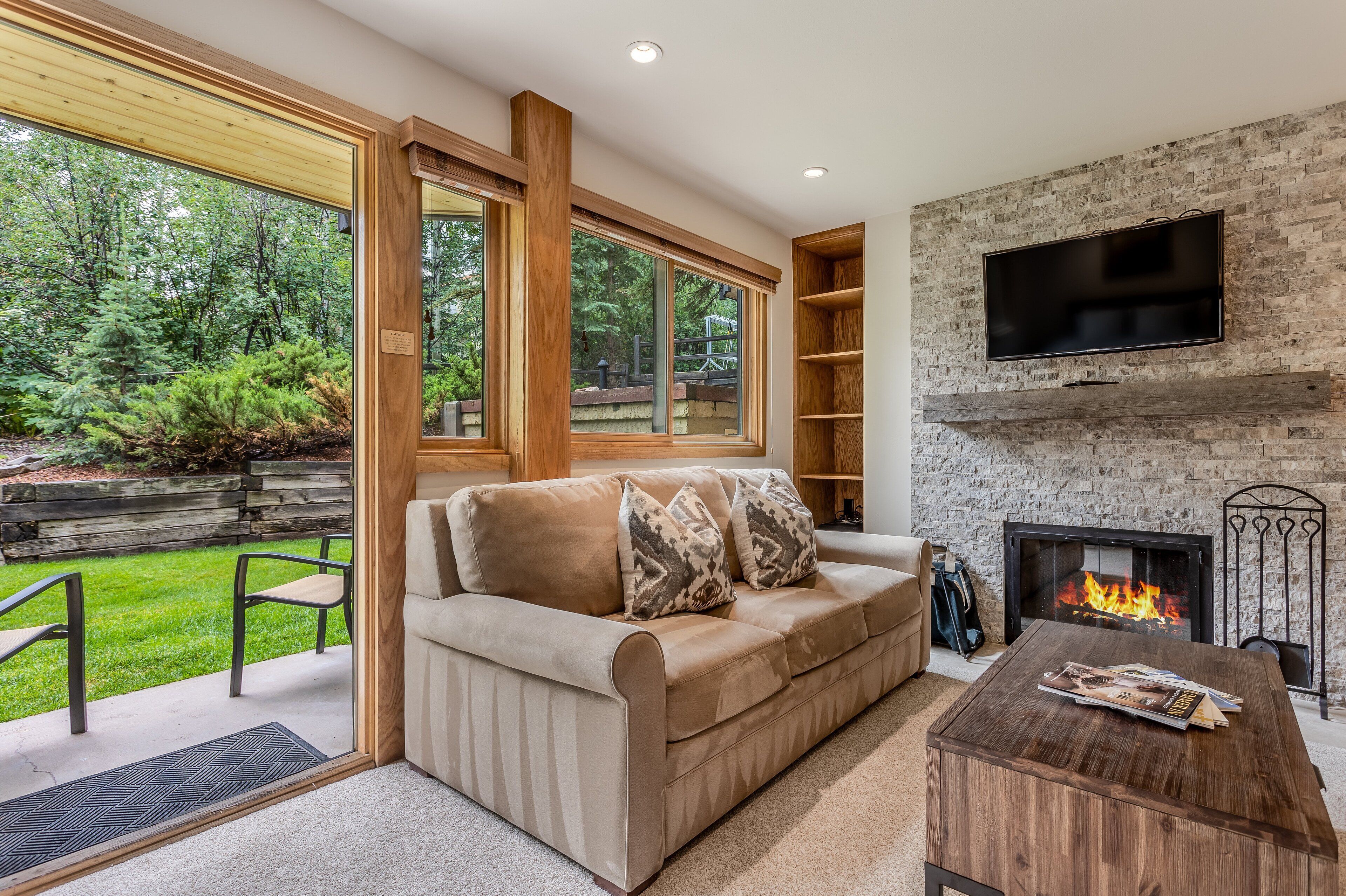 Smart TV, chimenea, reproductor de DVD