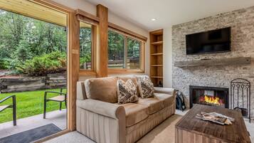 Smart TV, chimenea, reproductor de DVD