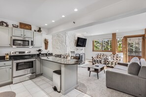 Interior - 🏔️Ski Access~Hot Tub~Studio Deluxe 306🏔️ (Snowmass Village)