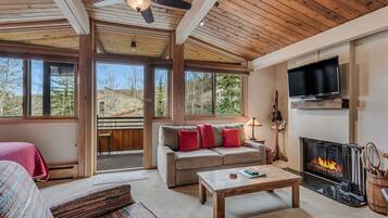 Smart TV, chimenea, reproductor de DVD