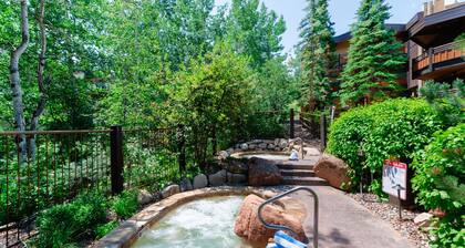 🏔️Ski Access~Hot Tub~Top Floor~Studio Deluxe 311🏔️