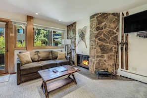 Smart TV, chimenea y reproductor de DVD