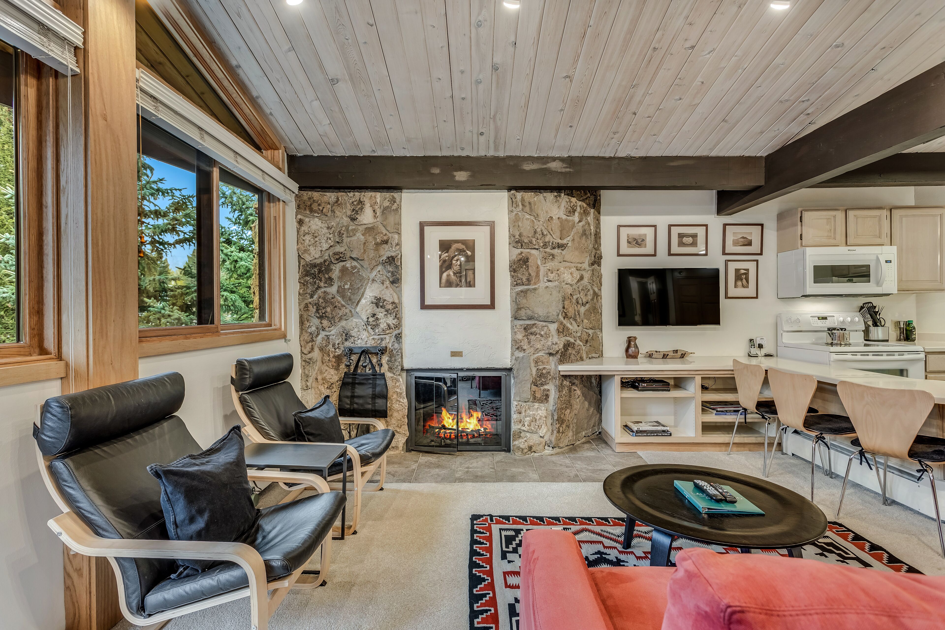 Smart TV, chimenea, reproductor de DVD