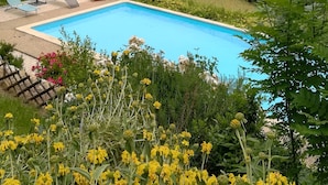 Una piscina rodeada de exuberante vegetación y un muelle de madera con sillones de descanso.