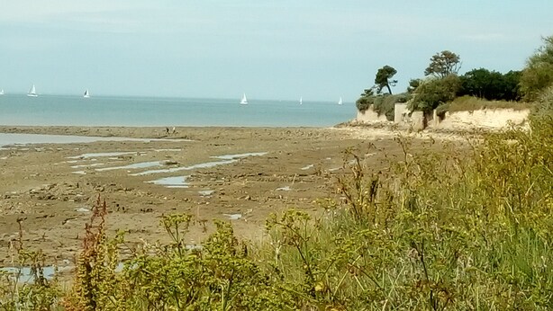 A beach with sparse vegetation, a sandy shore, and sailboats in the distance. - Les Minimes LA Rochelle Charente Maritime (La Rochelle)