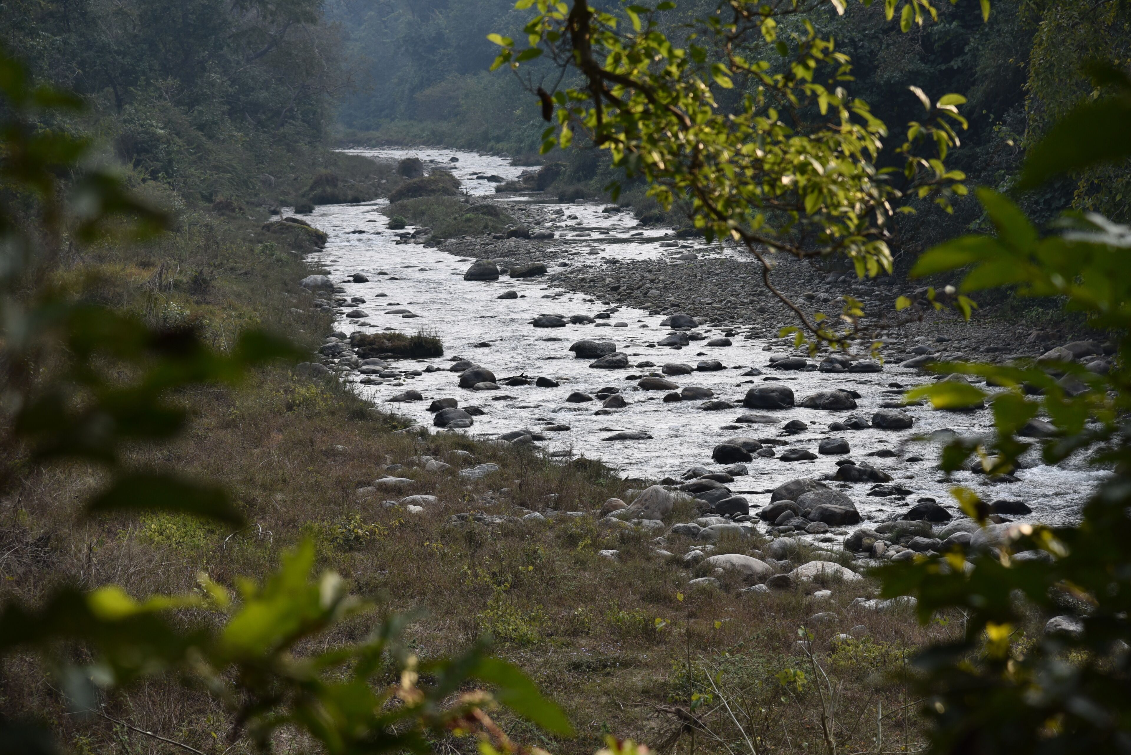 Een rivier die door een rotsachtig landschap met weelderige begroeiing stroomt.
