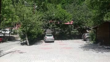 Parkservice (kostenlos)