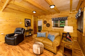 TV, fireplace, video games, DVD player