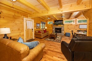 TV, fireplace, video games, DVD player