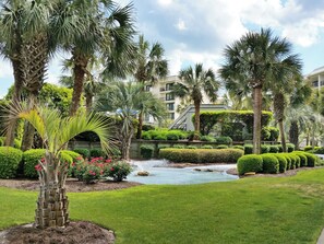 Property grounds - Townhouse style condo, balcony, northerly ocean view, direct beach access, pool (Pawleys Island)