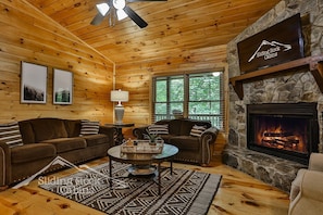 TV, fireplace